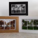 Fused glass triptychs Fused glass triptychs